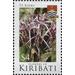 Flowers of Kiribati - Micronesia / Kiribati 2017 - 4