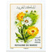 Flowers of Morocco - Morocco 2020 - 3.75