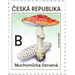 Fly Amanita (Amanita muscaria) - Czech Republic (Czechia) 2020