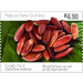 Galip Nut Kernels - Melanesia / Papua and New Guinea / Papua New Guinea 2019 - 6.90