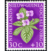 Gesneriacea - Melanesia / Netherlands New Guinea 1959