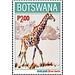 Giraffe (Giraffa giraffa) - South Africa / Botswana 2020 - 2