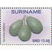 Golden Plum (Spondias cytherea) - South America / Suriname 2020 - 13