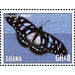 Graphium leonidas - West Africa / Ghana 2017 - 8