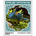 Great Blue Turaco (Corythaeola cristata) - Central Africa / Central African Republic 2021 - 850
