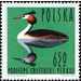 Great Crested Grebe (Podiceps cristatus) - Poland 1964 - 6.50