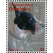 Great Dane (Canis lupus familiaris) - Caribbean / Dominica 2013 - 5