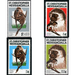 Green Monkeys - Caribbean / Saint Kitts and Nevis 1978 Set