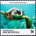 Green sea turtle - Micronesia / Micronesia, Federated States 2015 - 5