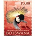 Grey-Crowned Crane - South Africa / Botswana 2019 - 5