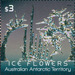 Grey-green Ice Flower Embossed With Foil Application - Australian Antarctic Territory 2016 - 3