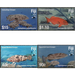 Groupers (2019) - Melanesia / Fiji 2019 Set