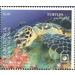 Hawksbill Sea Turtle (Eretmochelys imbricata) - Polynesia / Cook Islands 2020 - 1