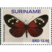 Heliconius aoede - South America / Suriname 2020 - 12