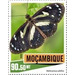 Heliconius atthis - East Africa / Mozambique 2020 - 90.50