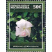 Hibiscus - Micronesia / Micronesia, Federated States 2015 - 50