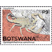 Hissing Scorpion (Opistophthalmus concinnus) - South Africa / Botswana 2021 - 9