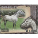 Horse Breeds of Paraguay (Equus ferus caballos) - South America / Paraguay 2019