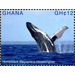 Humpback (Megaptera novaeangliae) - West Africa / Ghana 2017 - 12