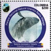 Humpback Whale (Megaptera novaeangliae) - South America / Colombia 2021