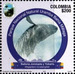 Humpback Whale (Megaptera novaeangliae) - South America / Colombia 2021