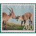 Ibex - Switzerland 2020 - 200