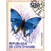 Imperial Blue Charaxes (Charaxes imperialis) - West Africa / Ivory Coast 2014 - 500