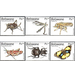 Insects (2019) - South Africa / Botswana 2019 Set