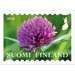 International Year of Plant Health : Flowers - Finland 2020