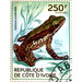 Ivory Coast Frog (Hylarana occidentalis) - West Africa / Ivory Coast 2014 - 250
