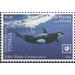 Killer Whale (Orcinus orca) - Polynesia / Tonga 2020 - 5