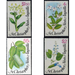 Local flowers - Caribbean / Saint Kitts and Nevis 1980 Set