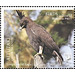 Long-crested Eagle (Lophaetus occipitalis) - Aitutaki 2019 - 2.50