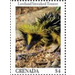 Lowland streaked tenrec - Caribbean / Grenada 2020 - 4