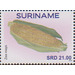 Maize (Zea mays) - South America / Suriname 2020 - 21