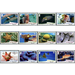 Marine Fauna - Caribbean / British Virgin Islands 2017 Set