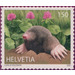 Mole (Talpa europaea) - Switzerland 2021 - 150