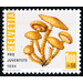 mushroom  - Switzerland 1994 - 100 Rappen