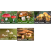 Mushrooms (2020) - West Africa / Guinea-Bissau 2020 Set