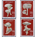 Mushrooms &amp; Fungi (1958) - East Africa / Somalia 2002 Set