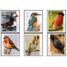 National Birds - Guernsey 2019 Set