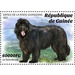 Newfoundland - West Africa / Guinea 2021