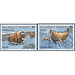 NORDEN: Mammals (2020) - Greenland 2020 Set