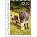 Norfolk Blue Cattle - Norfolk Island 2020 - 2.20