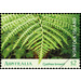 Norfolk Island Tree Fern (Cyathea brownii) open frond - Norfolk Island 2019 - 2