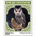 Northern White-faced Owl (Ptilopsis leucotis) - Central Africa / Central African Republic 2021 - 900