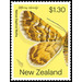 Notoreas edwardsi - New Zealand 2020 - 1.30