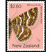 Notoreas mechanitis - New Zealand 2020 - 2.60
