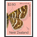 Notoreas mechanitis - New Zealand 2020 - 2.60