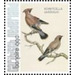 Nozeman &amp; Sepp&#039;s &quot;Birds of the Netherlands&quot; - Caribbean / Bonaire 2021 - 99